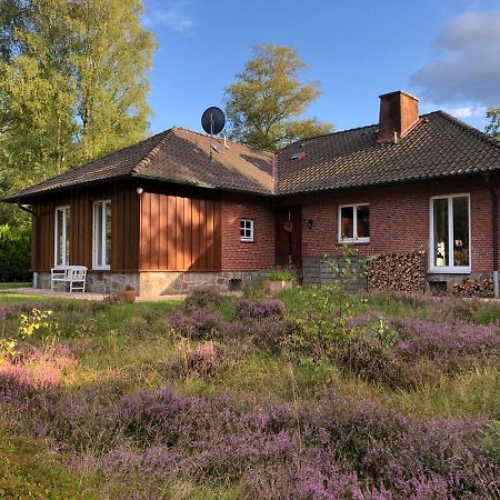 Landhaus Mitten In Der Lueneburger Heide อุนเดลอห์ ภายนอก รูปภาพ
