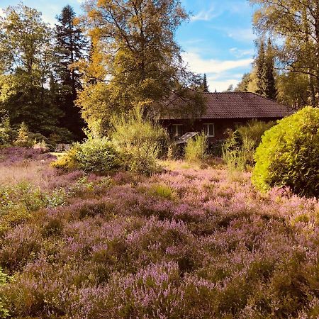 Landhaus Mitten In Der Lueneburger Heide อุนเดลอห์ ภายนอก รูปภาพ