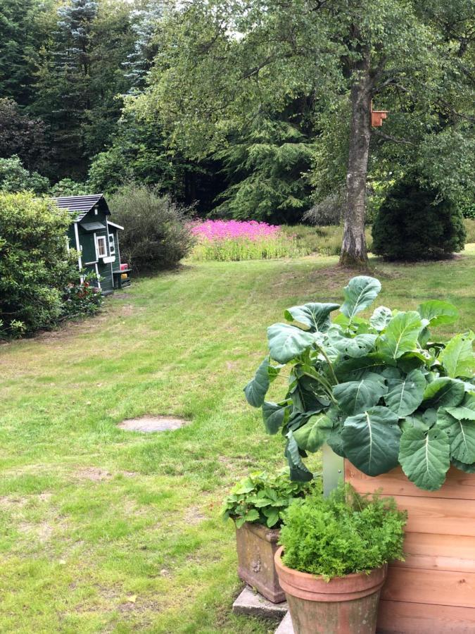Landhaus Mitten In Der Lueneburger Heide อุนเดลอห์ ภายนอก รูปภาพ