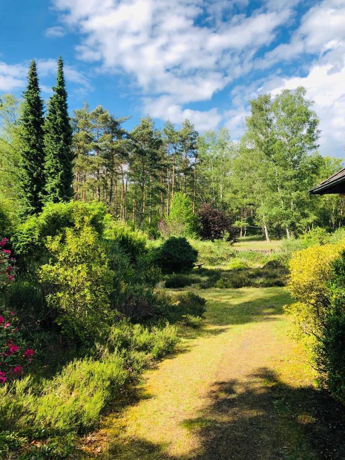 Landhaus Mitten In Der Lueneburger Heide อุนเดลอห์ ภายนอก รูปภาพ
