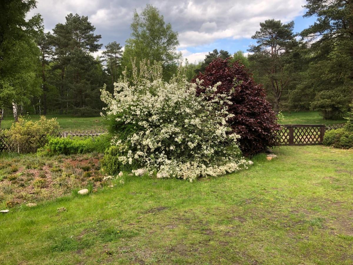 Landhaus Mitten In Der Lueneburger Heide อุนเดลอห์ ภายนอก รูปภาพ