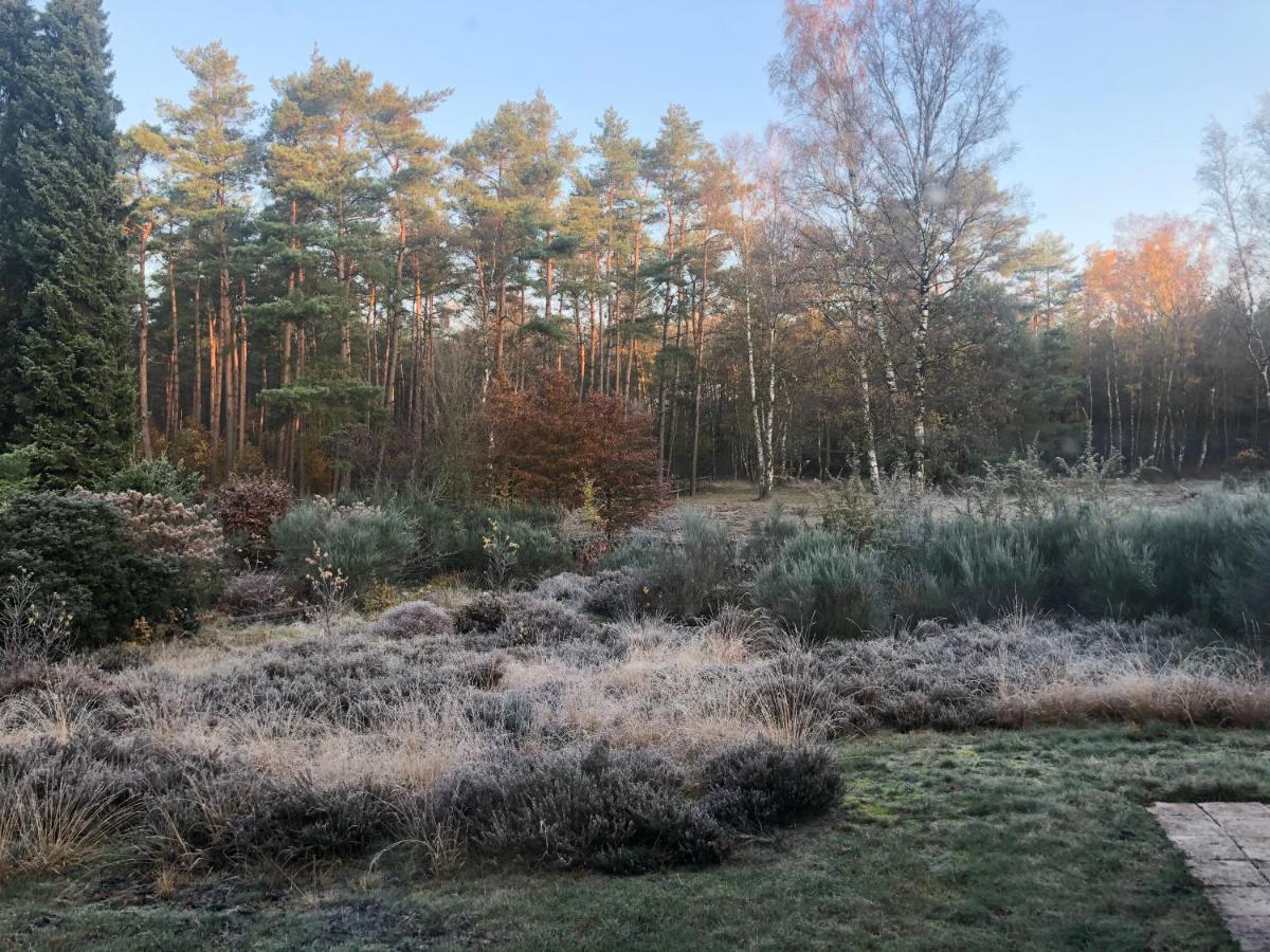 Landhaus Mitten In Der Lueneburger Heide อุนเดลอห์ ภายนอก รูปภาพ