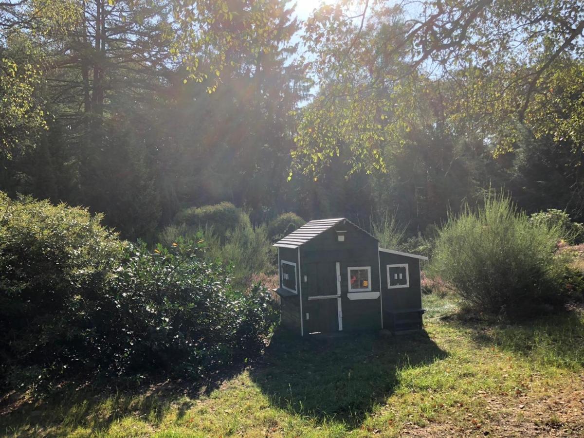 Landhaus Mitten In Der Lueneburger Heide อุนเดลอห์ ภายนอก รูปภาพ