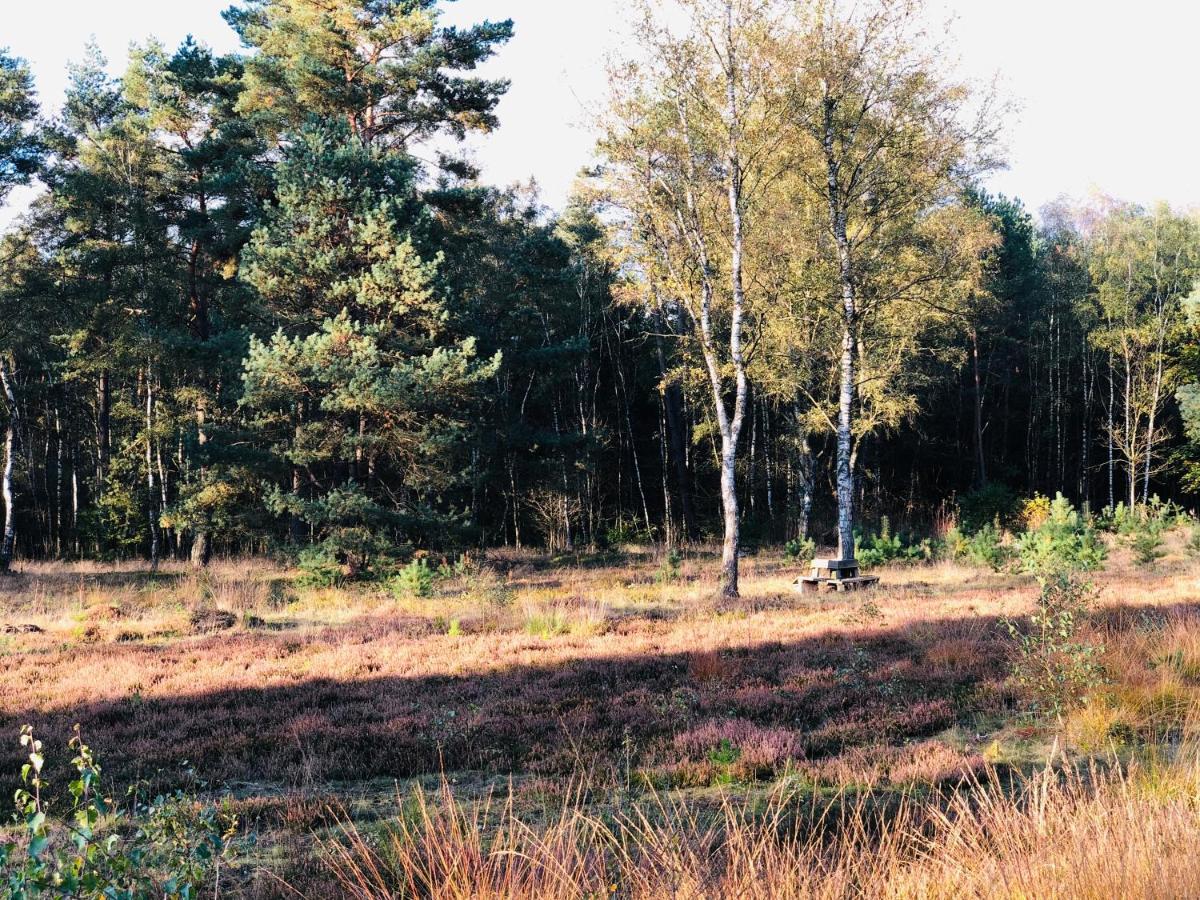 Landhaus Mitten In Der Lueneburger Heide อุนเดลอห์ ภายนอก รูปภาพ
